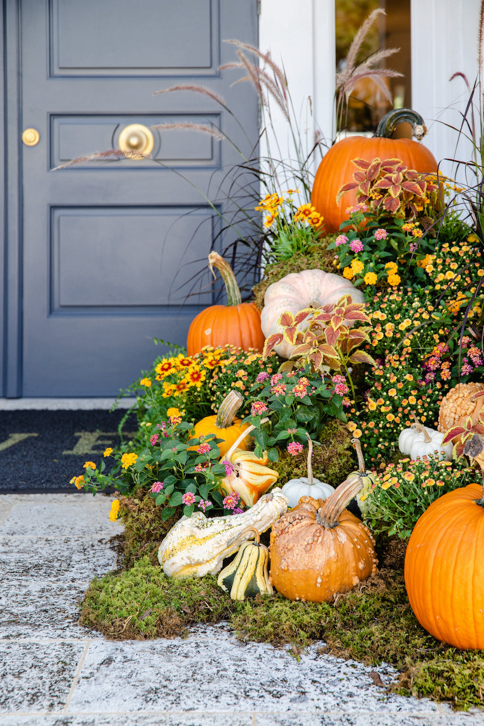 photo of the front door of hive with lots of pumpkins