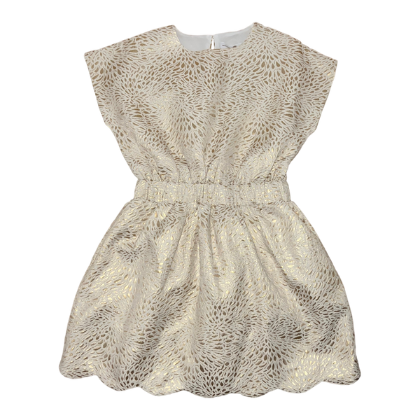 The stylish Brown Bowen & Co. McKenna Dress by Brown Bowen & Company is a chic children's beige dress adorned with gold leaf patterns. It features cap sleeves and an elastic waist, all displayed on a sleek black background. This fashionable piece is also machine washable for easy care.