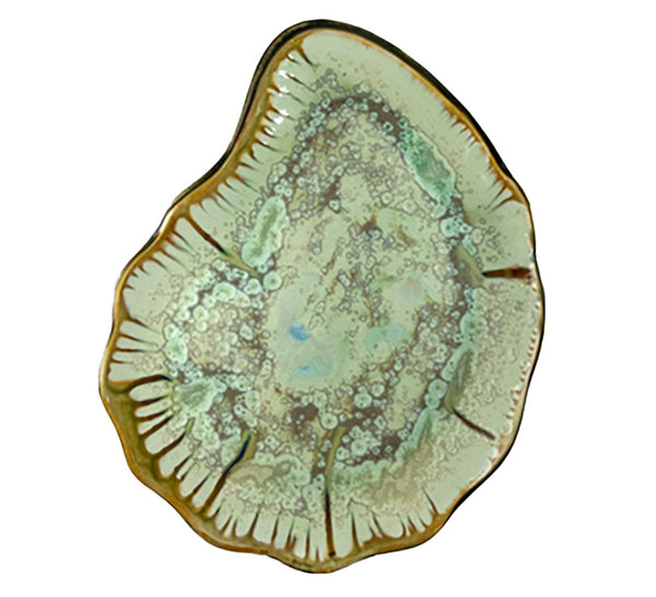 Cross-section of an AE Ceramics Platter in Mint and Tortoise under a microscope, serving as a detailed exploration of cellular structure and vascular bundles.