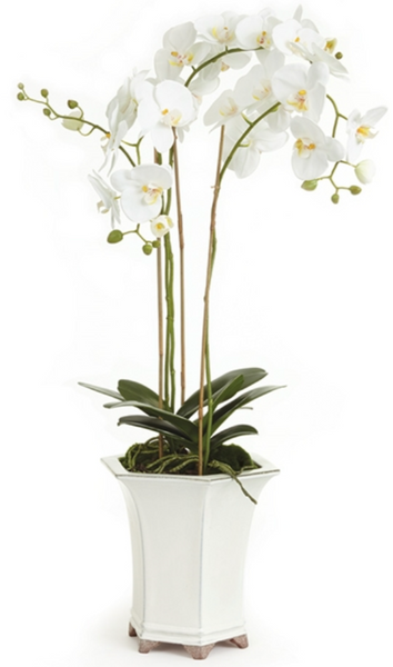 Barclay Butera Faux Phalaenopsis White Orchid Drop-In, 36”